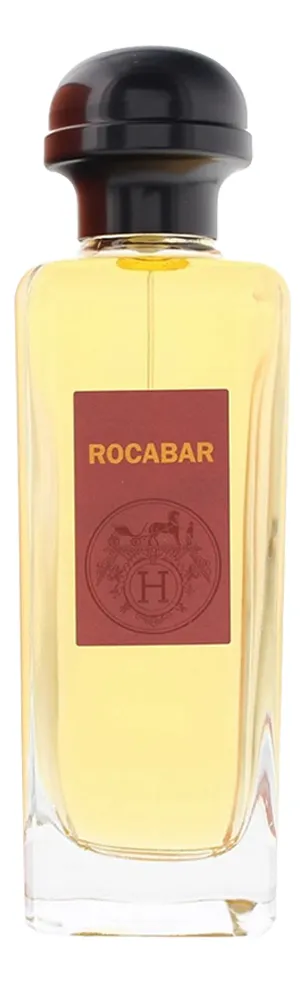 Hermes Rocabar Туалетная вода для мужчин 100 ml тестер