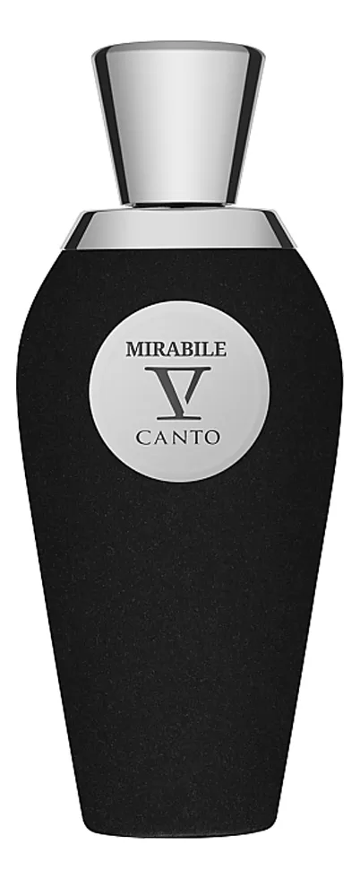 V Canto Mirabile Духи для женщин 100 ml тестер
