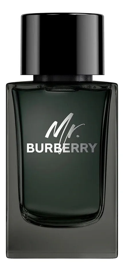 Burberry Mr.  Eau de Parfum Парфюмерная вода для мужчин 100 ml тестер
