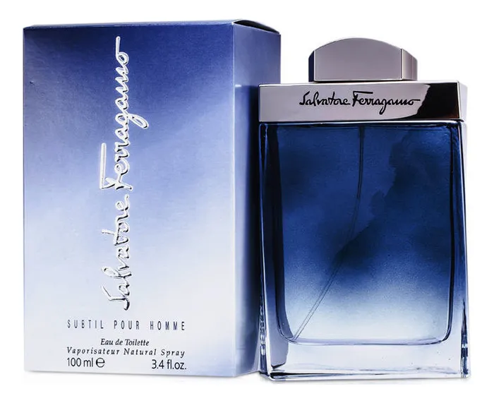 Salvatore Ferragamo Subtil Pour Homme Туалетная вода для мужчин 100 ml