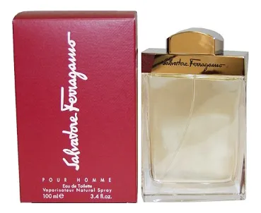 Salvatore Ferragamo pour Homme Туалетная вода для мужчин 100 ml