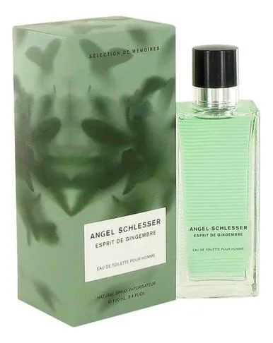Angel Schlesser Esprit de Gingembre Pour Homme Туалетная вода для мужчин 100 ml