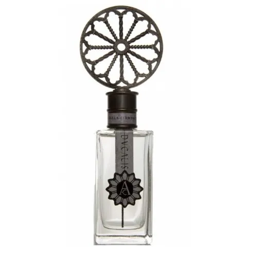 Angela Ciampagna Ducalis