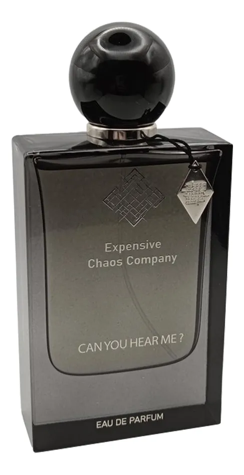 Expensive Chaos Company Can You Hear Me?