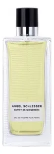 Angel Schlesser Esprit de Gingembre Pour Femme Туалетная вода для женщин 100 ml тестер