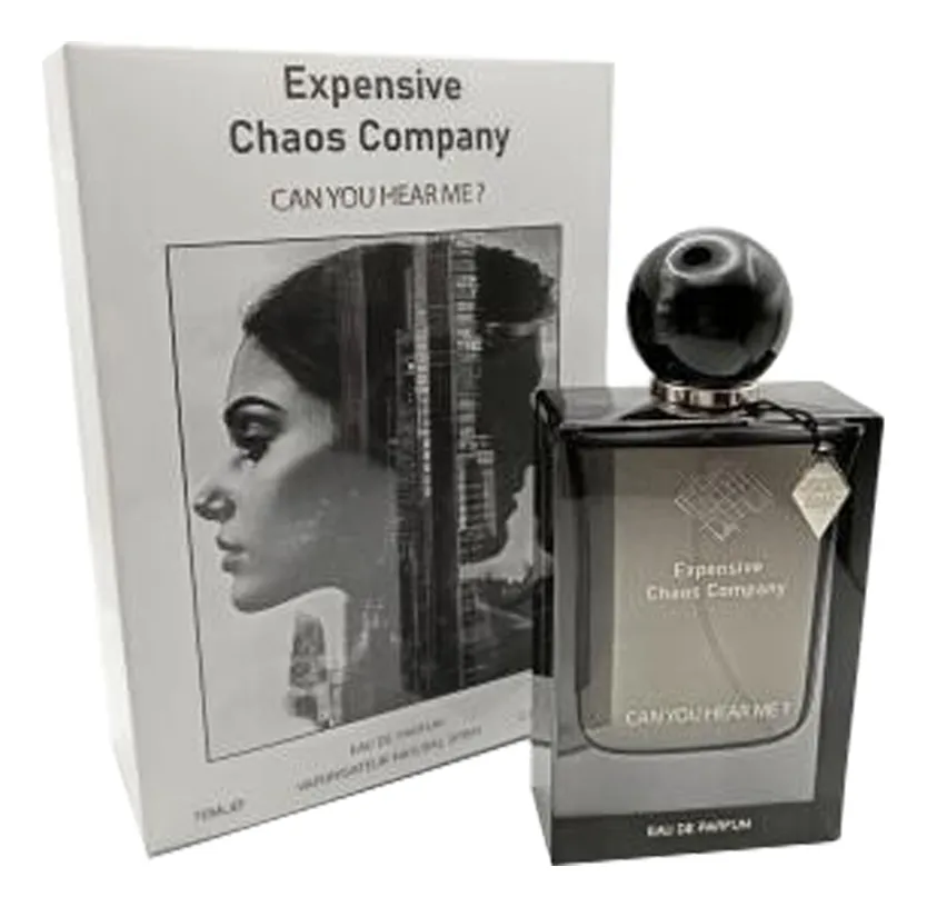 Expensive Chaos Company Can You Hear Me?