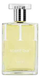 Scent Bar 111 Духи унисекс 100 ml тестер