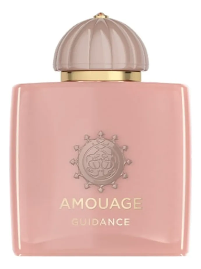 Amouage Guidance