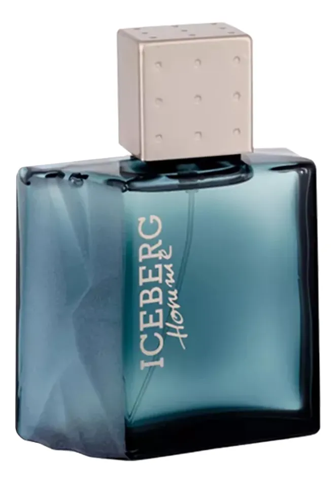 Iceberg Homme Туалетная вода для мужчин 100 ml тестер